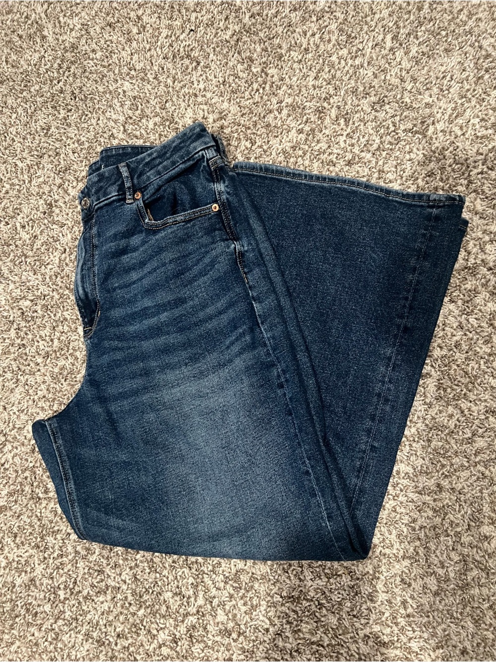 AE CURVY BAGGY WIDE LEG